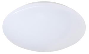 Plafoniera da Interno a LED in Plastica Bianco