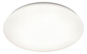 Plafoniera da Interno a LED in Plastica Bianco