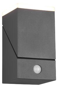 Applique da Esterno a LED SMD in Allumnio Pressofuso Antracite