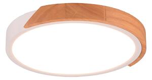 Plafoniera da Interno a LED in Plastica Bianco Opaco