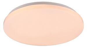 Plafoniera da Interno a LED in Plastica Bianco