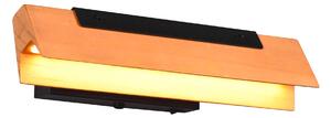 Applique da Interno a LED in Metallo Nero Opaco
