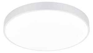 Plafoniera da Interno a LED in Metallo Bianco Opaco