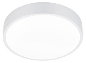Plafoniera da Interno a LED in Metallo Bianco Opaco
