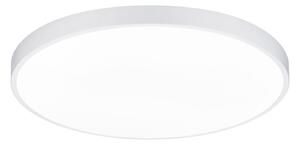 Plafoniera da Interno a LED in Metallo Bianco Opaco