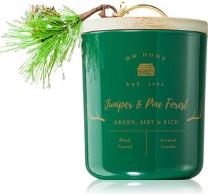 DW Home Farmhouse Juniper & Pine Forest candela profumata 244 g