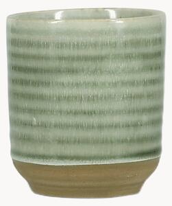 Set di 4 tazze Cameo Green