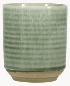 Set di 4 tazze Cameo Green