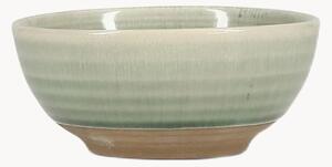 Set di 4 ciotole piccole Cameo Green
