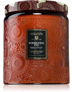 VOLUSPA Japonica Forbidden Fig candela profumata 1.25 kg