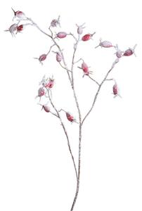 Set 12 Rami Artificiali Rosa Canina Innevata 77 cm in Sintetico