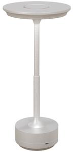 Lampada da Tavolo a LED Senza Filo Touch Ø13x28,5 cm Batteria Ricaricabile Argento