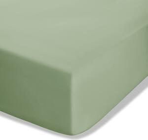 Lenzuolo con angoli verde in percalle 90x190 cm Easy Iron Percale – Catherine Lansfield