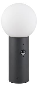 Illuminazione esterna con sensore di movimento a colonna ø 18 cm Mures – Trio
