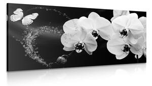 Stampa su tela – Orchidea e farfalla in bianco e nero