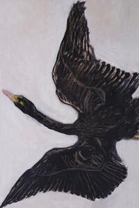 Riproduzione The Black Swan 2 of 2 - Hilma af Klint