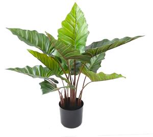 Pianta artificiale Colocasia H55 cm con Vaso Verde