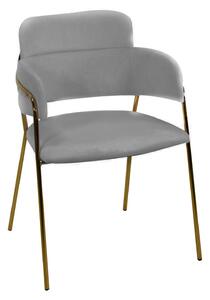 Sedia Imbottita 52x52xh79 cm in Tessuto Velluto Hannover Grigio