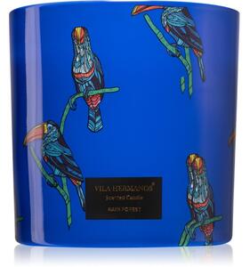 Vila Hermanos Jungletopia Rain Forest candela profumata 620 g