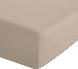 Lenzuolo con angoli marrone chiaro in percalle 90x190 cm Easy Iron Percale – Catherine Lansfield
