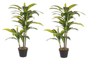 Set 2 Piante Artificiali Dracaena 88 h in Plastica con Vasi Verde