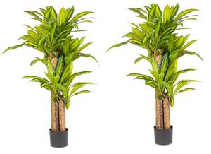 Set 2 Piante Artificiali Dracaena Ø100x130 cm in Plastica con Vasi Verde