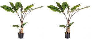 Set 2 Piante Artificiali Dieffenbachia Ø100x134 cm in Plastica con Vasi Verde