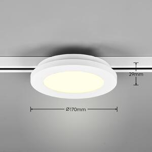 Trio Lighting Plafoniera LED Camillus DUOline, Ø 17 cm, bianco