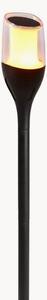 Set di 4 faretti solari a LED Farely