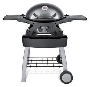 Barbecue a Gas GPL 2 Fuochi 5,2kW 2 Ripiani con Carrello Twin Grill Grigio