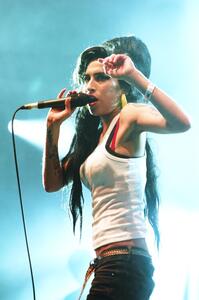 Fotografia Amy Winehouse Music festival Eurockeennes de Belfort 2007 Us, Eric CATARINA