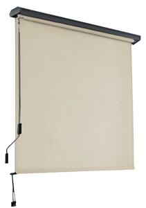 Tenda da Sole Avvolgibile Manuale 140x250 cm in Alluminio e Poliestere Charleston Bianco