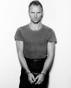 Fotografia Sting in Handcuffs, John Stoddart/Popperfoto