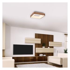 Rabalux 5056 - Plafoniera LED CARMELA LED/30W/230V