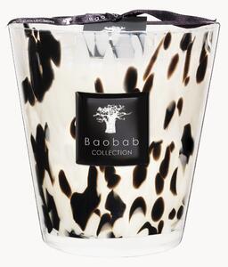 Candela profumata Black Pearls (pompelmo, zenzero, rosa)