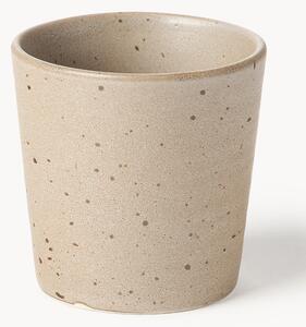 Tazza Kumi