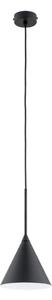 Lampadario a sospensione con filo FABO 1xE27/15W/230V nero