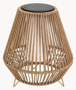 Lampada da terra solare a LED con luce regolabile Salomea