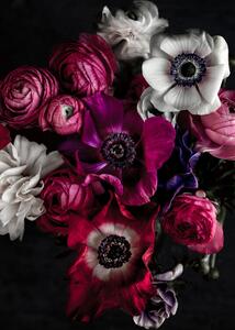 Fotografia Dark Flowers 1, Mareike Bohmer