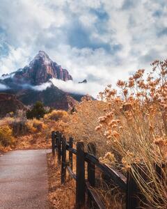 Fotografia The trail to the rock, Syed Iqbal