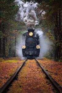 Fotografia Through the autumn forest, Rafal R. Nebelski