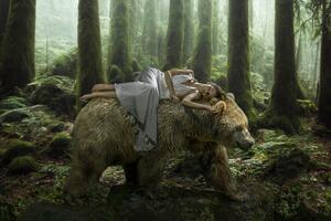 Fotografia Dream Bear, Marcel Egger