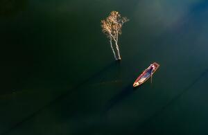 Fotografia New day in Tuyen Lam lake, Nguyen Tan Tuan