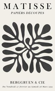 Illustrazione Matisse floral 1, Vitor Costa