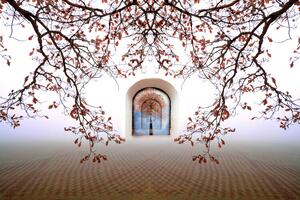 Fotografia Tree of life, Christina Sillen