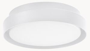 Plafoniera a LED da esterno Oliver