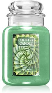 Country Candle Spiral Aloe candela profumata 680 g
