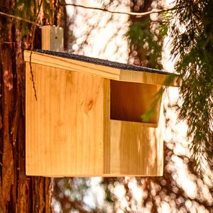 Blumfeldt Casetta per uccelli che nidificano in semicavita, sistema per appenderla, tetto catramato, cedro rosso