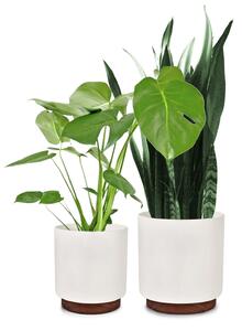 Fox & Fern Enspijk, vasi per piante, legno di noce, set da 2 pz., polystone, fatti a mano, 2 misure