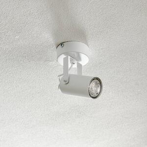 TK Lighting Spot da soffitto Redo, 1 luce, bianco